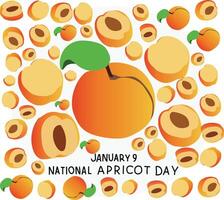 An apricot day poster with many peaches vector