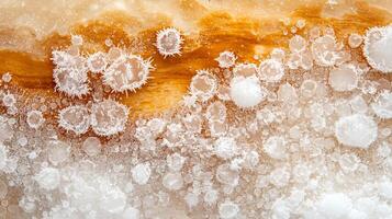 macro photo of frost on tree branch, showcasing intricate ice crystals and warm background. delicate patterns create stunning visual contrast