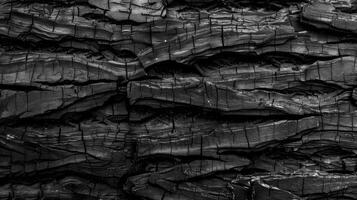 Black and white photo of a wall with many different patterns