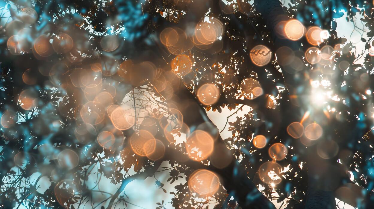 Tree Bokeh Stock Photos, Images and Backgrounds for Free Download