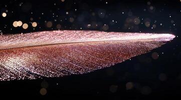 Glittering feather against a dark background photo