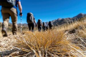 Hikers trekking through rugged mountain terrain photo