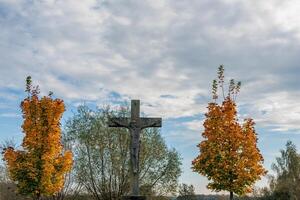 A cross and two trees in a field photo