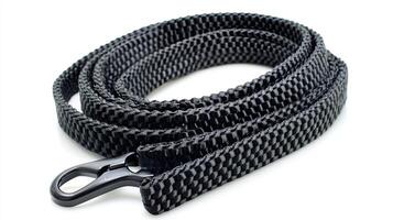 Black Dog Leash photo