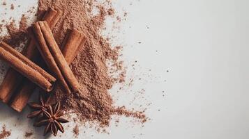 Cinnamon sticks and powder with star anise. Spice concept. photo