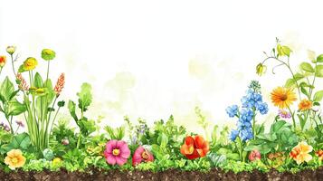 Colorful Spring Flowers Border photo