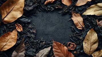 Dried tea leaves and autumn leaves frame. Autumnal beverage concept. photo