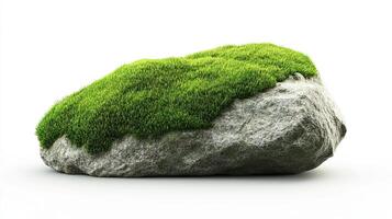 Moss Covered Rock photo