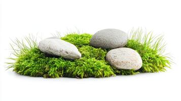 Stones and moss. Nature, zen, spa concept. photo