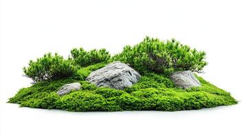 Green moss, stones, and plants. Nature, ecology, and environment concept. photo