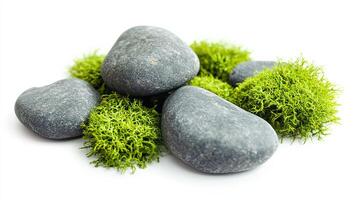 Zen stones and moss. Spa, nature, tranquility concept. photo