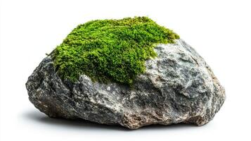 Moss covered Rock, Nature Stone Texture photo