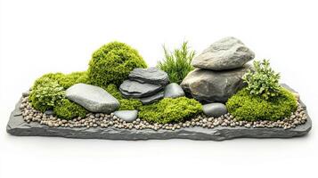 Miniature Zen Garden with Moss and Stones photo