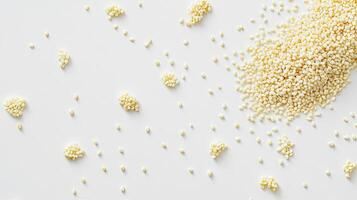 White Sesame Seeds Scattered on White Background photo