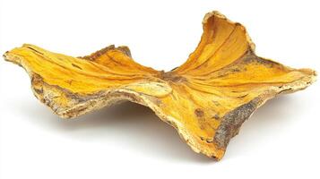 Dried Mango Slice photo