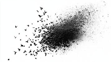 Birds Exploding Abstract Black and White photo