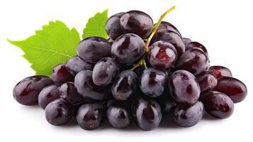 Fresh Black Grapes with Leaf photo