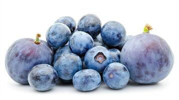 Fresh Blueberries Isolated on White Background photo