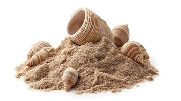Seashells in Sand Pile. Summer Beach Concept photo