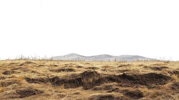 Dry Grassland Landscape with Mountains photo