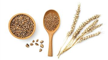 Wheat grains, seeds, and stalks. Concept of healthy eating and agriculture. photo