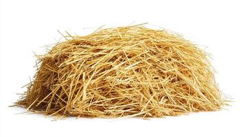 Pile of Straw Isolated on White Background photo