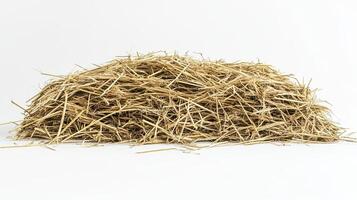 Pile of Hay on White Background photo