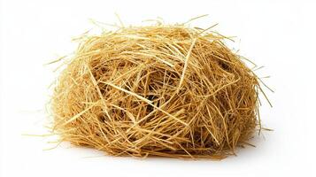 Pile of Hay photo