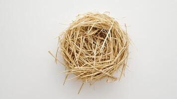 Empty bird nest on white background. Spring, nature, home concept. photo
