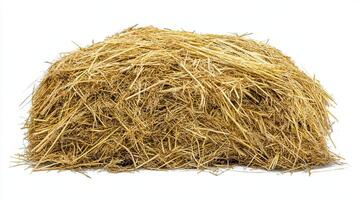 Hay Bale Isolated on White Background photo