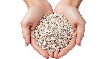 Silver granules in hands. Precious metal, wealth, and luxury concept. photo