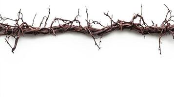 Brown Vine Garland on White Background photo