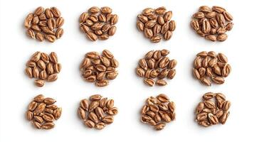Wheat Grains Pattern. Top View. Food Background. photo