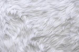 white wool texture background, close up of a long wool carpet, light natural close-up texture of white fluffy fur. photo