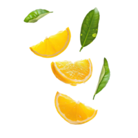 Falling Citrus leaf isolate on transparency background png