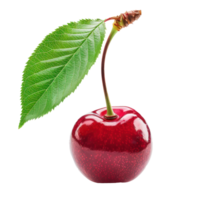 Cherry, clipping path isolate on transparency background png