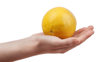 hand holding Lemon, clipping path isolate on transparency background png