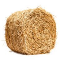 hay side view isolate on transparency background png