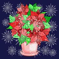 Poinsettia plant in pot with snowflakes vector