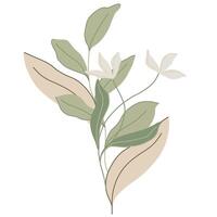 Elegant flat style botanical illustration with delicate flowers, leaves, and branches in muted shades of green, beige, and white. Perfect for spring projects, nature decor, minimalistic designs vector