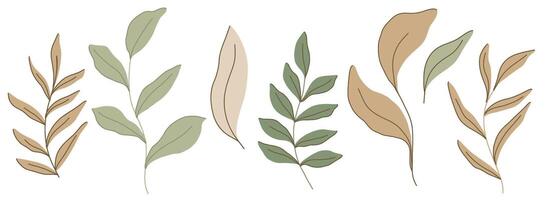 Minimalistic flat botanical illustration with various green and beige leaves and branches, showcasing earthy spring vibe. Perfect for nature inspired design projects or eco friendly themes vector