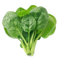 spinach on transparency background png