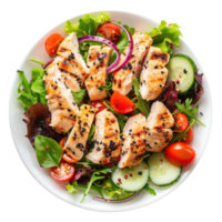 grilled chicken salad with tomatoes, cucumbers and lettuce on a white plate png