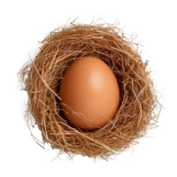 egg in nest isolate on transparent background png