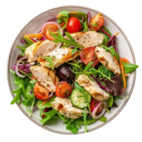 chicken salad with vegetables and tomatoes on a plate png