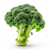 broccoli isolate on transparent background png