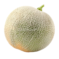 cantaloupe melon isolate on transparent background png