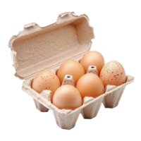 eggs in a carton on a transparent background png