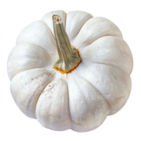 a white pumpkin on a transparent background png