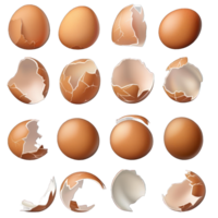 eggs and broken shells transparent background png